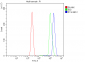 Anti-ITCH/AIP4 Antibody Picoband™ (monoclonal, 5E12)
